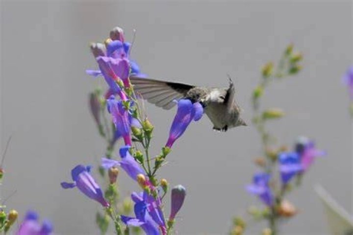 636180466893949928 DSC 6672 scaled
