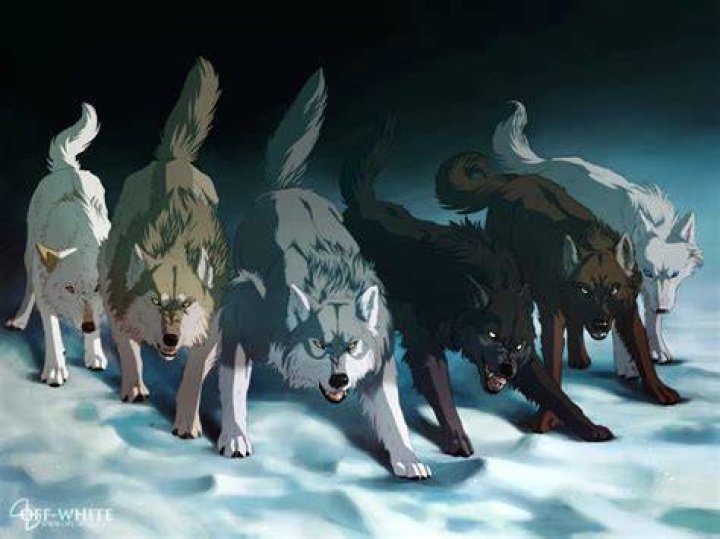 10 best anime about wolves