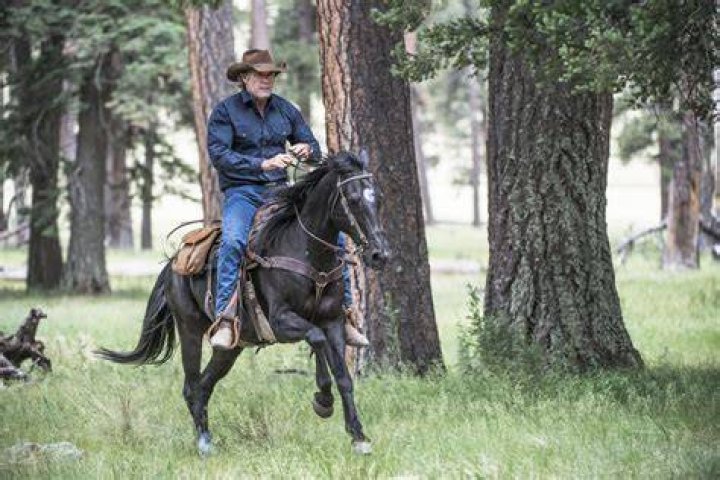 A&E Cancels Longmire