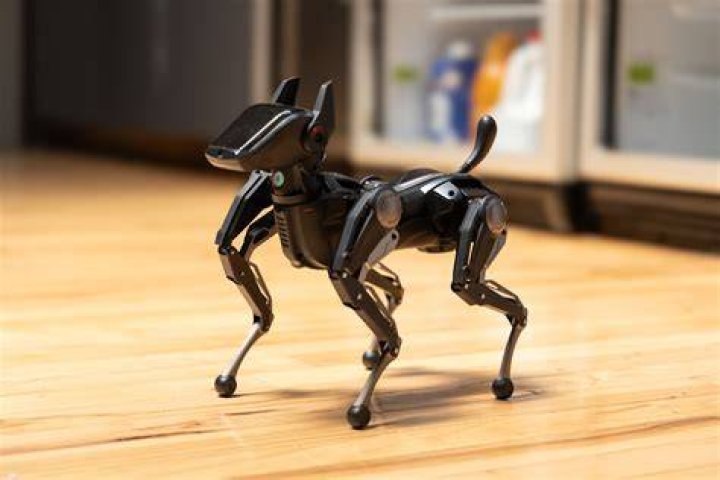 A robot dog performing at the circus