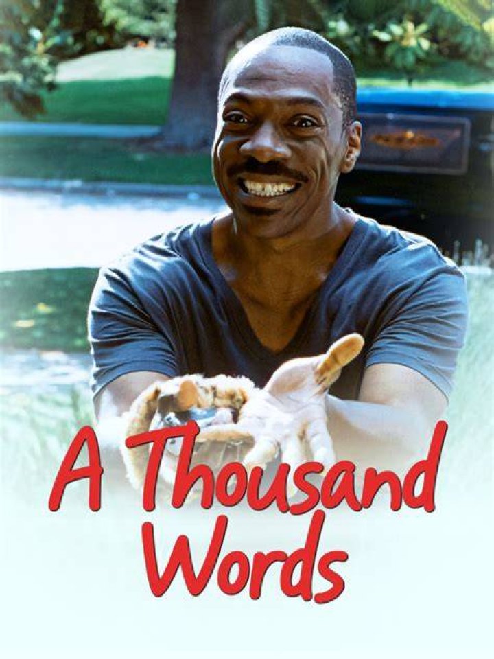 A Thousand Words Review