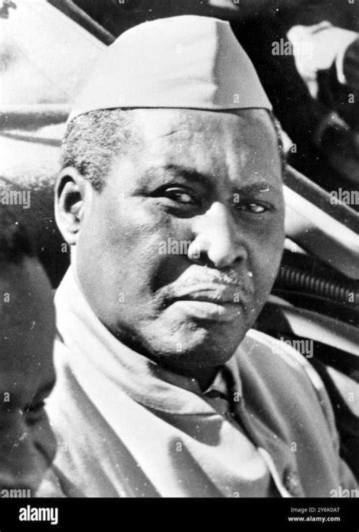 Albert John Lut... Biography