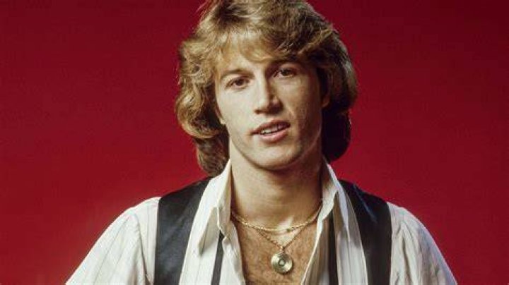 andy-gibb-142305.jpg