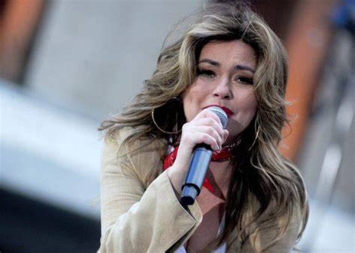 Are Shania Twain and Mark Twain related?