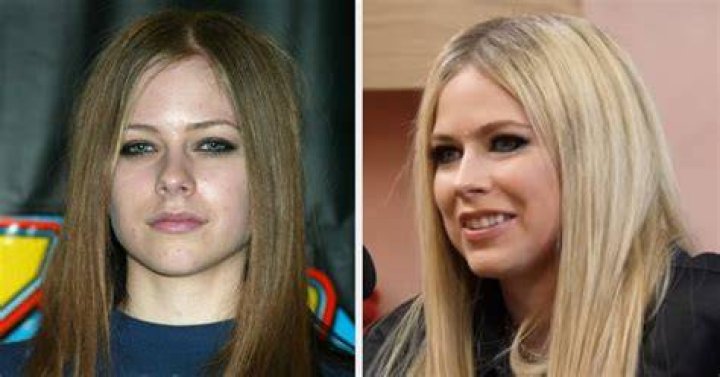Avril Lavigne conspiracy, explained