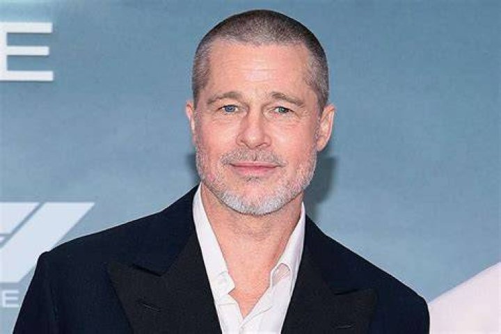 brad-pitt-doesnt-like-new-bodyguard-shopping-with-his-kids