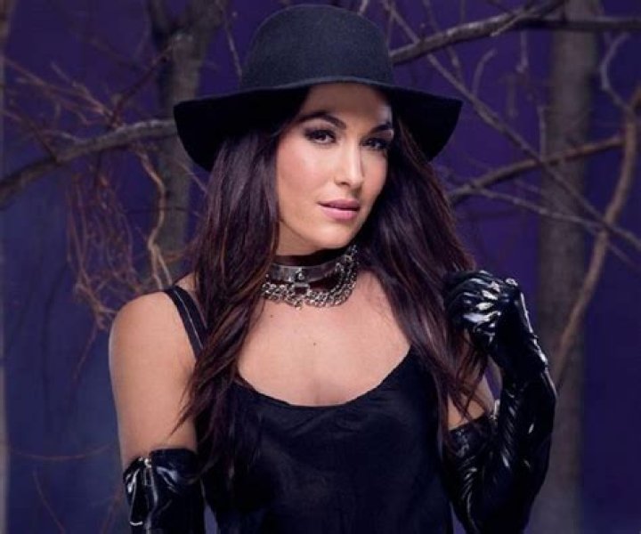 Brie Bella Biography - Facts, Childhood, Family Life & Achievements