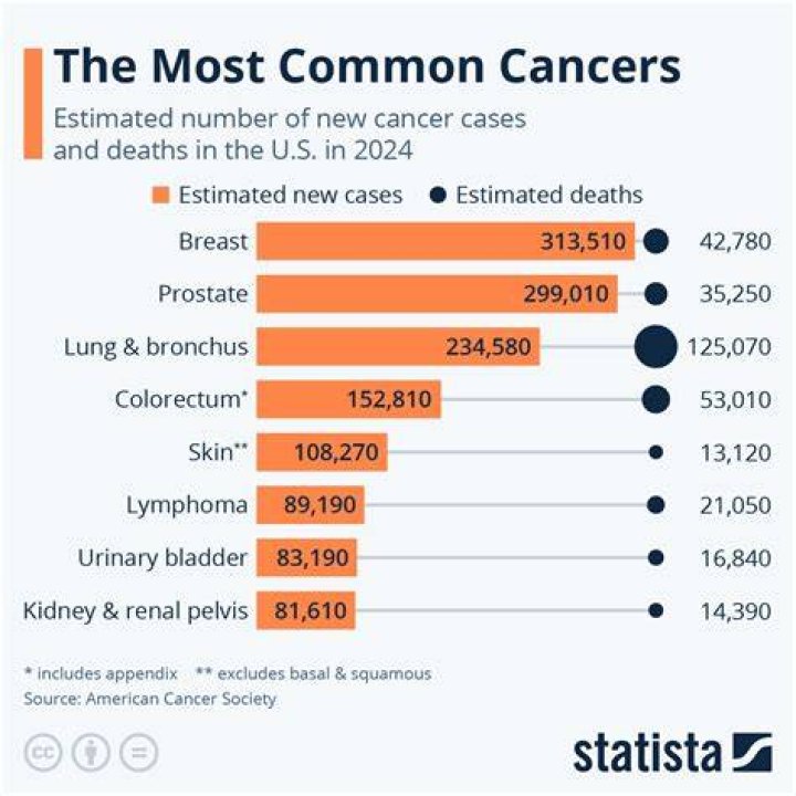 Cancers Leading Cause of Premature Death in Brooklyn: NY-Presbyterian Physicians