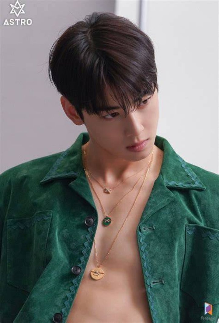 Cha Eun-woo Biography