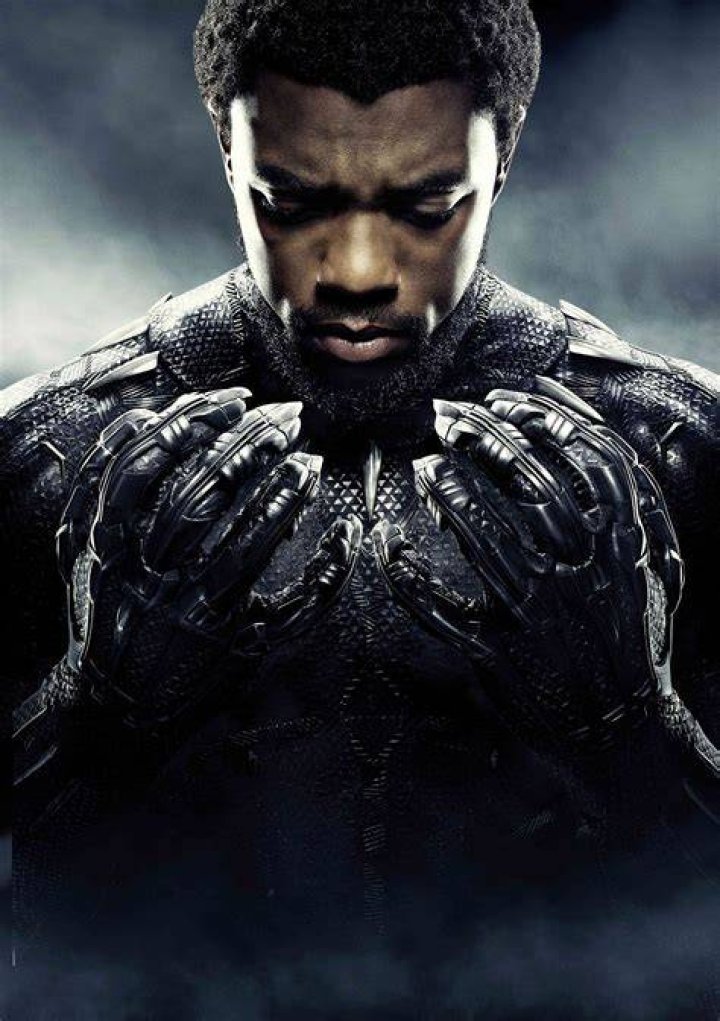 Chadwick Boseman Black Panther Character Poster
