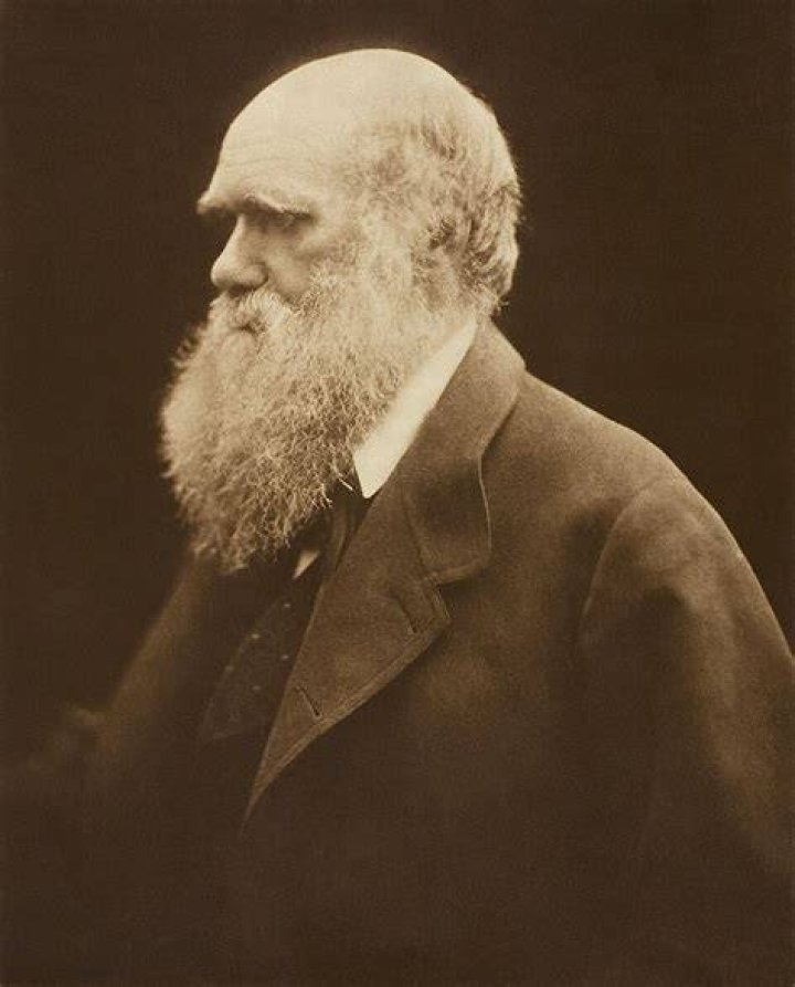 charles-darwin-11113.jpg
