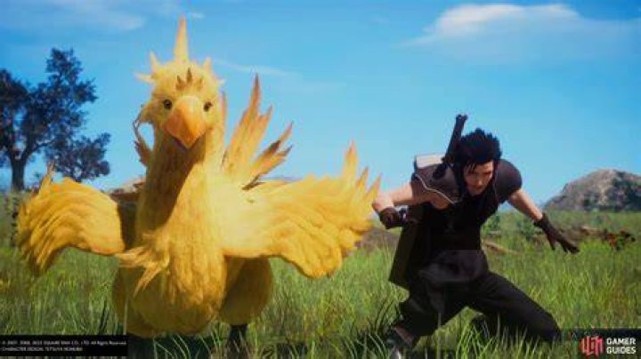 Chocobo