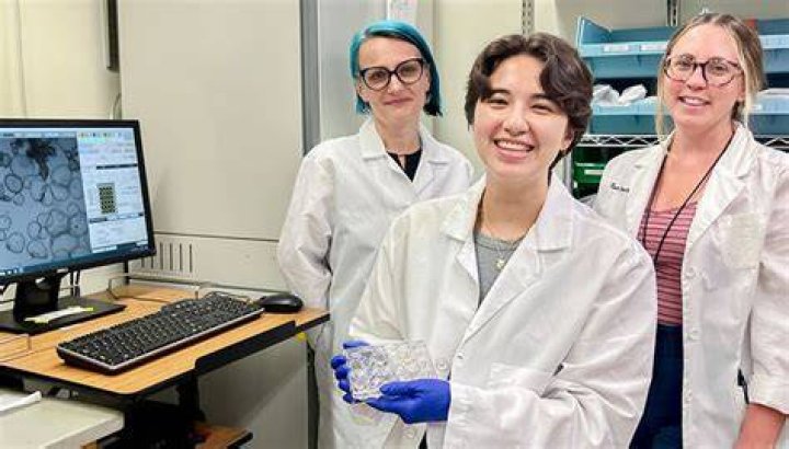 CHOP Researchers Show That IgA Fine Tunes the Body's Interactions with Microbes