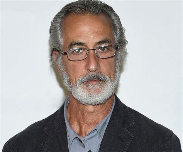 David Strathairn Biography - Facts, Childhood, Family Life & Achievements of Actor