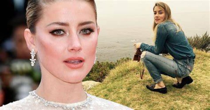 Did Amber Heard actually drop to -$8 million on Celebrity Net Worth?