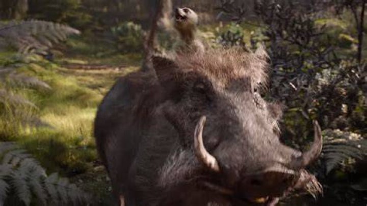 Disney Fans Are Terrified Of The Lion King’s Live-Action Pumbaa