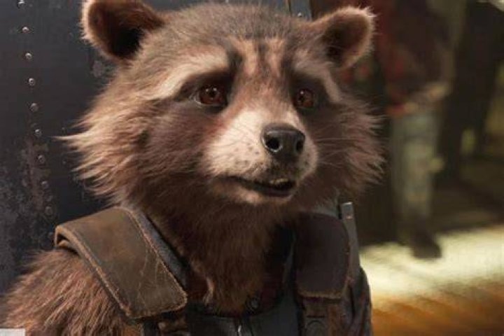 Disney snubbing Rocket Raccoon suggests it hasn’t watched ‘Guardians of the Galaxy Vol. 3’ yet