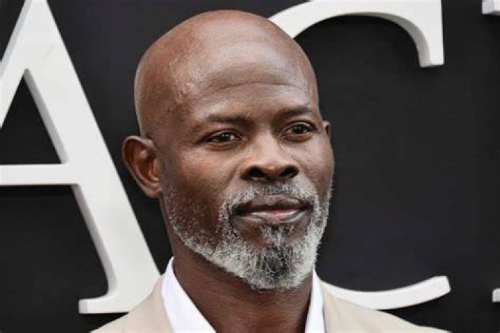Djimon Hounsou