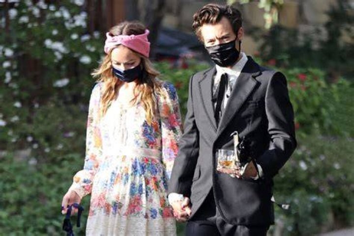 Do Harry Styles and Olivia Wilde have a child?