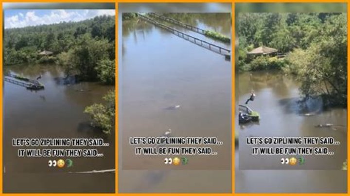 ‘Do people not know gators jump?’: Zip-lining adventurer ends up suspended over alligator-infested waters