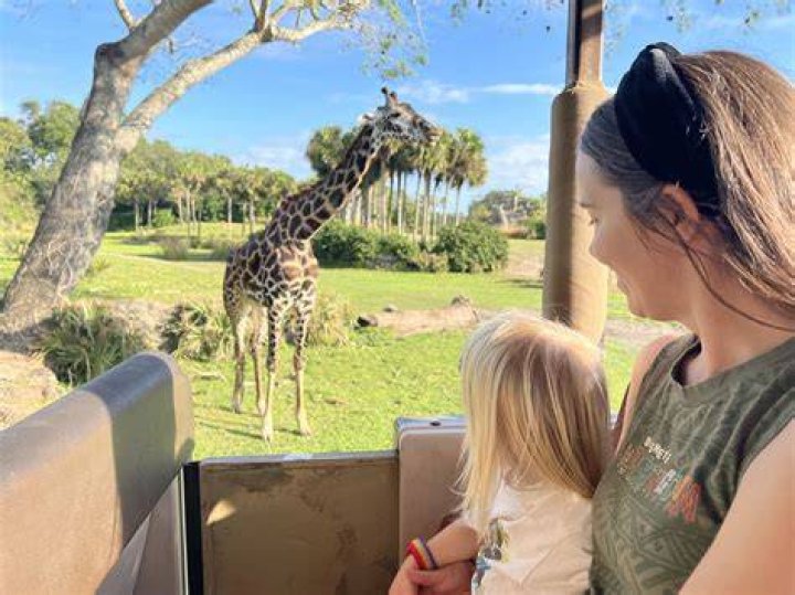 Do you have to pay extra for Animal Kingdom safari? – Celebrity
