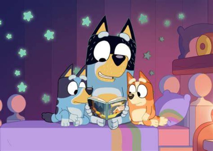 Does Bluey Have Adhd? – Celebrity