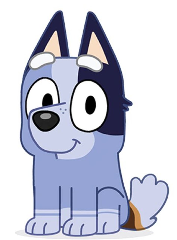 Does Socks From Bluey Have Autism? – Celebrity