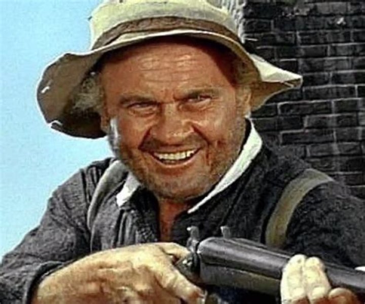 Dub Taylor Biography - Facts, Childhood, Family Life & Achievements