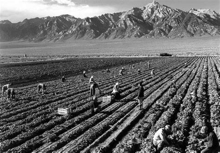 Famous American Photographers