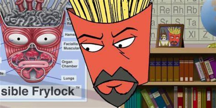 Frylock, Aqua Teen Hunger Force