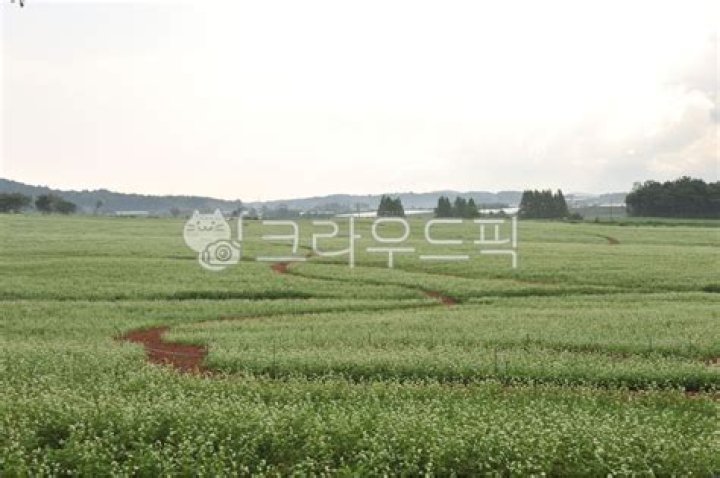 gettyimages 1148173069