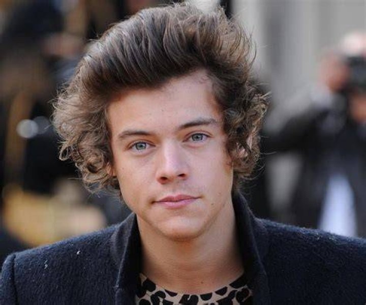 Harry Styles Biography - Facts, Childhood, Family Life & Achievements