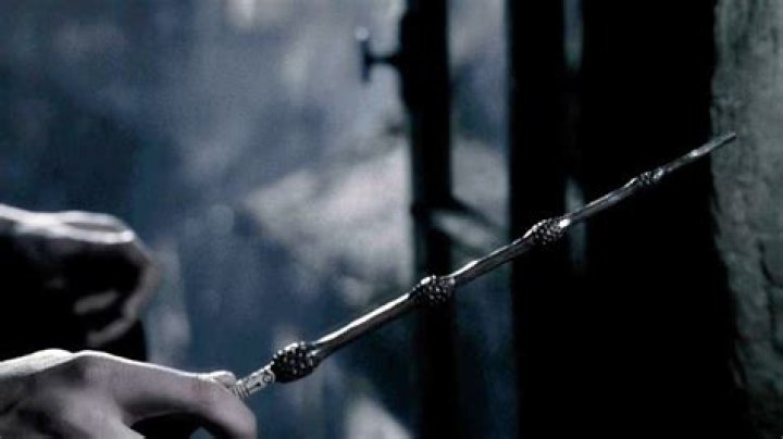 How did Dumbledore get the Elder Wand?