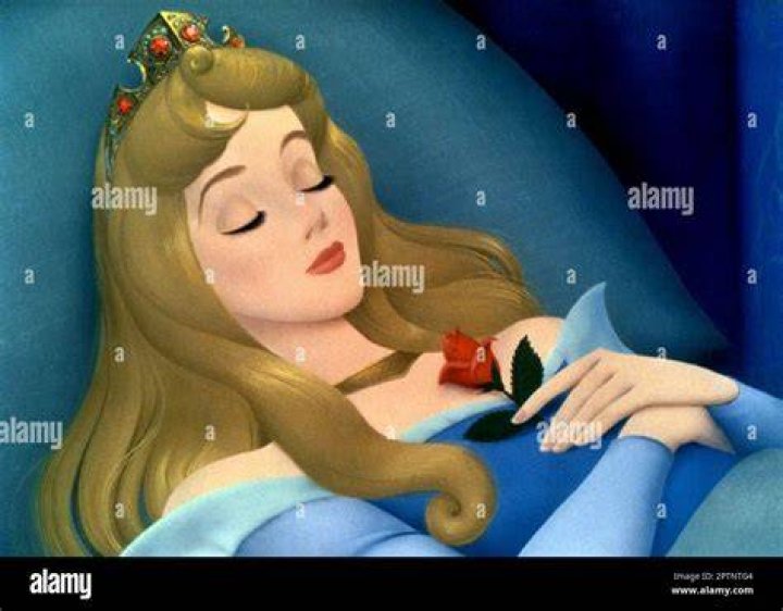 How long did Sleeping Beauty sleep in the Disney movie?