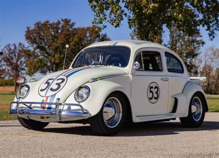 How many beetles were used in Herbie: Fully Loaded? – Celebrity