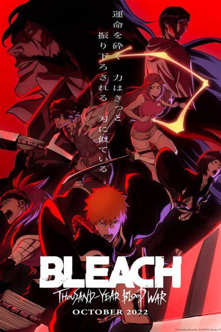How many episodes of ‘Bleach: Thousand-Year Blood War’ will there be?