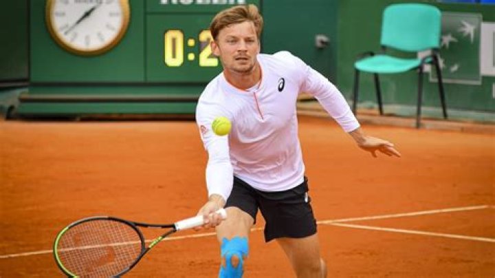 How much is David Goffin worth? Career earnings and net worth explored