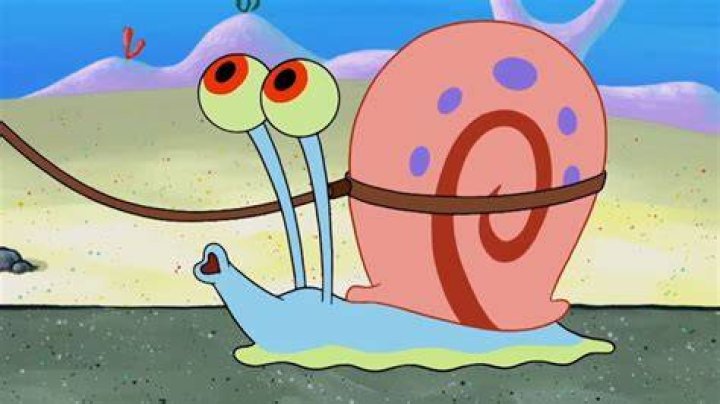 How Old Is Gary The Snail? – Celebrity