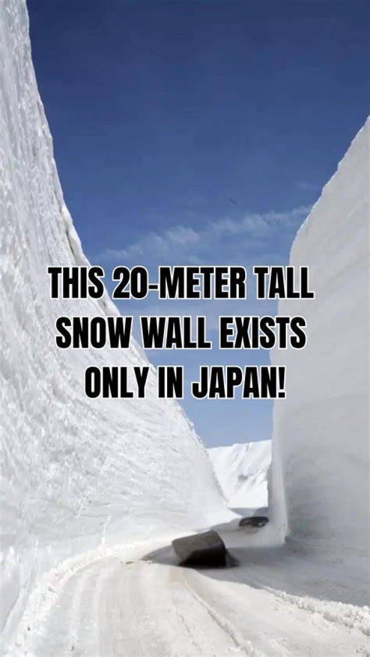 How tall are the Snow White dwarfs?