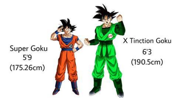 How tall is Goku from ‘Dragon Ball?’