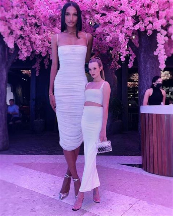 How tall is Jasmine the princess?