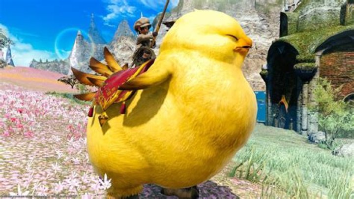 How To Get A Chocobo In FFXIV?