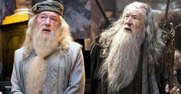 ‘I couldn’t take over from an actor I know disapproved of me’: ‘Harry Potter’s Michael Gambon owed Dumbledore role to Ian McKellen