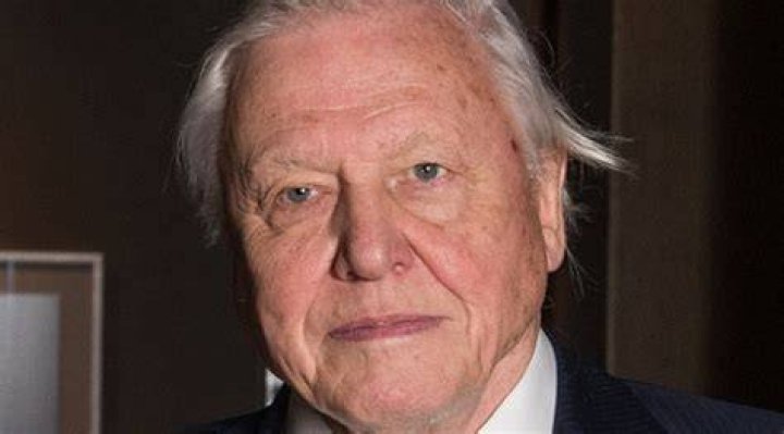 Is David Attenborough a vegetarian?