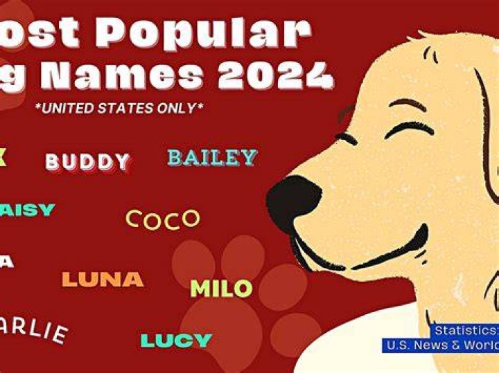 Is Fifi a good dog name? – Celebrity