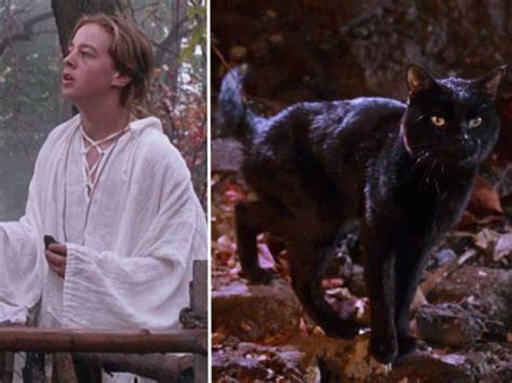 Is it Thackery Binx or Zachary Binx? – Celebrity