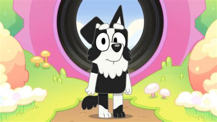 Is Mackenzie A Girl Or Boy In Bluey? – Celebrity