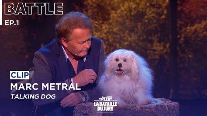 Is Marc Metral talking dog real? – Celebrity