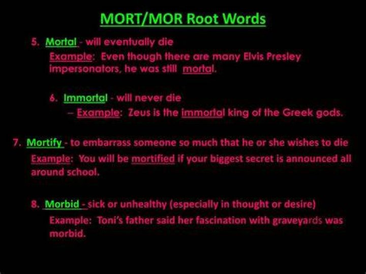Is Mort Greek or Latin? – Celebrity