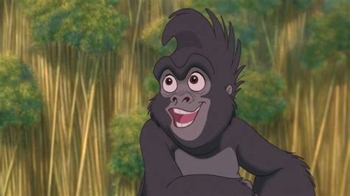 Is Terk a girl or boy Tarzan? – Celebrity